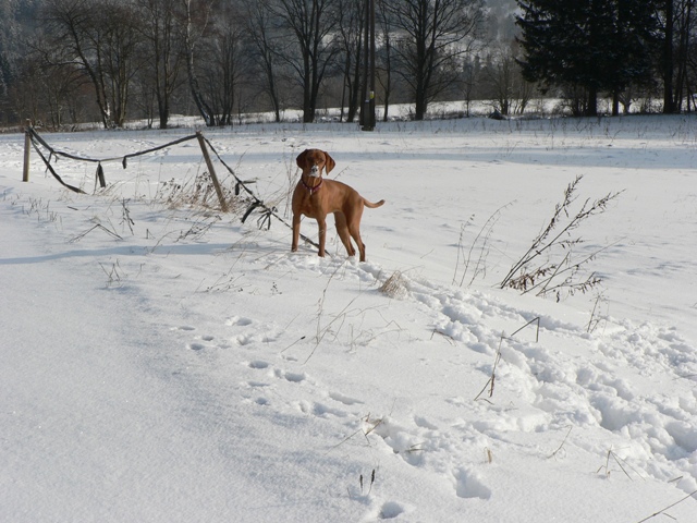 2009_12_13 Hory 033.jpg