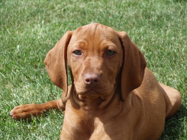 2009051020090510_20.JPG