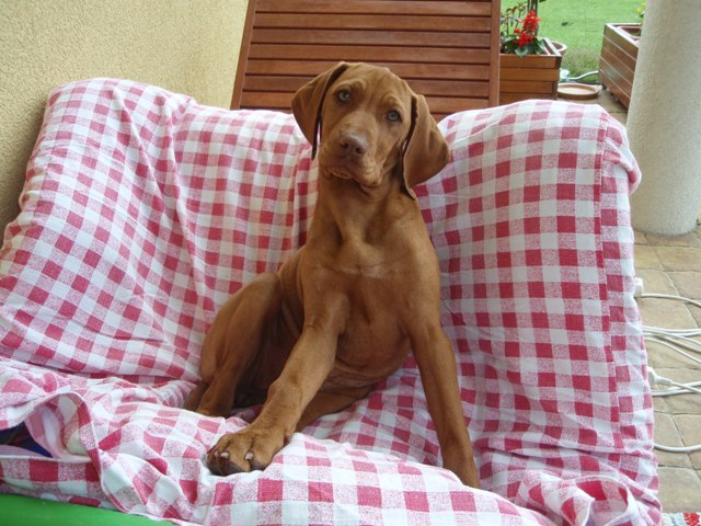 2009060720090607_29.JPG