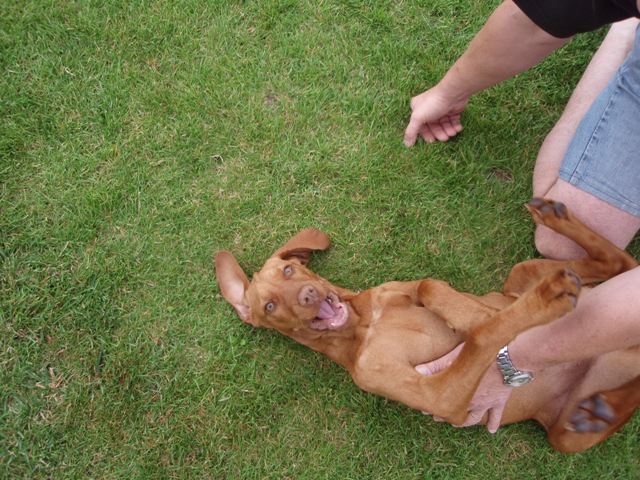 2009062820090628_41.JPG